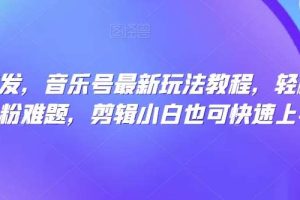 全网首发，音乐号最新玩法教程，轻松解决涨粉难题，剪辑小白也可快速上手