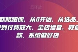 淘系爆款陪跑课，从0开始，从选品上架操作链接到付费放大、全店运营，教你打爆款、系统做好店