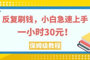 （7751期）反复刷钱，小白急速上手，一个小时30元，实操教程。