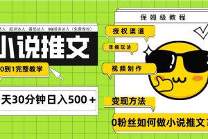 （7911期）Ai小说推文每天20分钟日入500＋授权渠道 引流变现 从0到1完整教学（7节课）