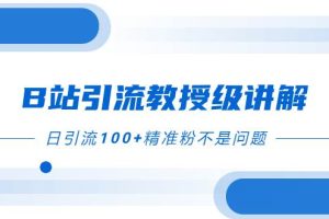 （7997期）B站引流教授级讲解，细节满满，日引流100+精准粉不是问题