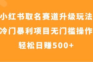 小红书取名赛道升级玩法，冷门暴利项目无门槛操作，轻松日赚500+