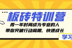 （8048期）板砖特训营，用一年时间成为专业的人，带你突破行动局限，快速成长