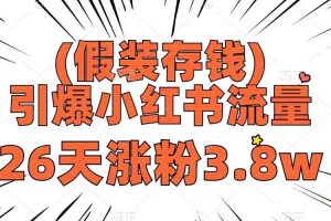 （8217期）假装存钱，引爆小红书流量， 26天涨粉3.8w，作品制作简单，多种变现方式