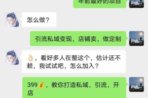 （8252期）年底爆火红包封面项目，风口项目，单月变现六位数，保姆级教程!