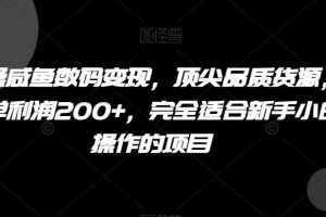 实操咸鱼数码变现，顶尖品质货源，一单利润200+，完全适合新手小白操作的项目【揭秘】