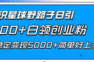 （8315期）知识星球野路子日引300+白领创业粉，日稳定变现5000+简单好上手！