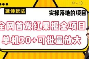 全网首发红果免费短剧掘金项目，单机30+可批量放大【揭秘】