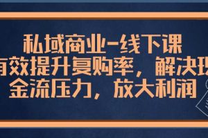 （8425期）私域商业-线下课，有效提升复购率，解决现金流压力，放大利润