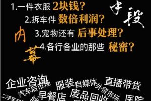 生意内幕与手段：行业内幕、冷门行业、尾货处理、废品回收、空手套白狼（全集）