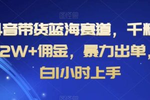 抖音带货蓝海赛道，千粉账号2W+佣金，暴力出单，小白1小时上手【揭秘】