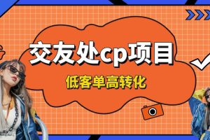 （8478期）交友搭子付费进群项目，低客单高转化率，长久稳定，单号日入200+