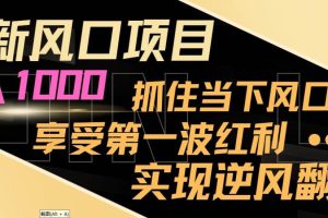 （8521期）最新风口项目，日入过千，抓住当下风口，享受第一波红利，实现逆风翻盘