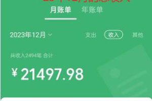 （8531期）Soul掘金蓝海项目细分赛道，做情感价值变现，月入2w+不是问题