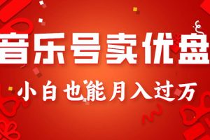 音乐号卖优盘，AE制作100%原创视频，小白也能月入过万