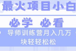 （8569期）导师训练营互联网最牛逼的项目没有之一，新手小白必学，月入2万+轻轻松松