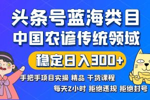 （8595期）头条号蓝海类目传统和农谚领域实操精品课程拒绝违规封号稳定日入300+