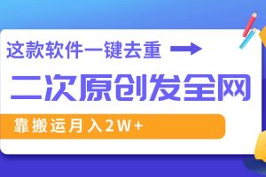 （8627期）这款软件深度去重、轻松过原创，一个视频全网分发，靠搬运月入2W+