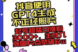 （8646期）抖音使用GPT4生成不正经照片，起号超猛日涨粉3000+，生成几张图片点赞破6w+