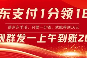 （8678期）京东支付1分得16元实操到账200