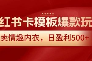 小红书卡模板爆款玩法，售卖情趣内衣，日盈利500+【揭秘】