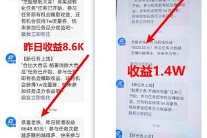 （8704期）超脑神探小游戏日入5000+爆裂变现，小白一定要做的项目，年入百万不在话下