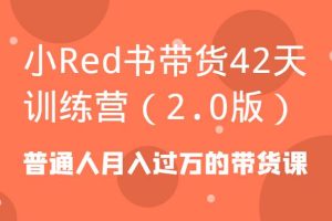 小Red书带货42天训练营（2.0版）普通人月入过万的带货课