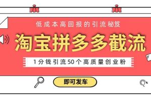 （8787期）淘宝拼多多电商平台截流创业粉 只需要花上1分钱，长尾流量至少给你引流50粉