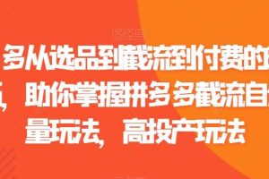 拼多多从选品到截流到付费的玩法技巧，助你掌握拼多多截流自然流量玩法，高投产玩法