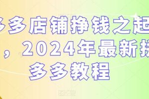 多多店铺挣钱之起店，2024年最新拼多多教程