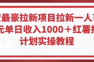 年度最豪拉新项目拉新一人可达40元单日收入1000＋红薯推广计划实操教程【揭秘】