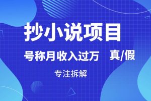 抄小说项目，号称月入过万，到底是否真实，能不能做，详细拆解