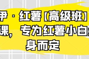 伊伊·红薯【高级班】运营课，专为红薯小白量身而定