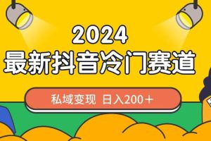 （8960期）2024抖音最新冷门赛道，私域变现轻松日入200＋，作品制作简单，流量爆炸