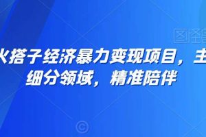 全网最火搭子经济暴力变现项目，主打垂直细分领域，精准陪伴【揭秘】