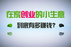 （8999期）在家创业，日引300+创业粉，一年收入30万，闷声发财的小生意，比打工强