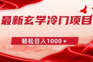 （9009期）最新冷门玄学项目，零成本一单268，轻松日入1000＋