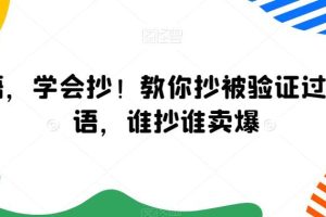 广告语，学会抄！教你抄被验证过的广告语，谁抄谁卖爆