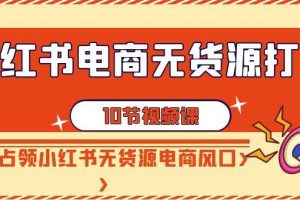 （9015期）小红书电商-无货源打卡，抢先占领小红书无货源电商风口（10节课）