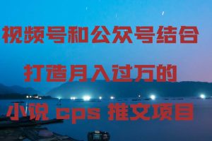 （9059期）视频号和公众号结合打造月入过万的小说cps推文项目