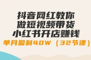 （9136期）抖音网红教你做短视频带货+小红书开店赚钱，单月盈利40W（32节课）