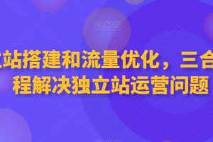 独立站搭建和流量优化，三合一课程解决独立站运营问题