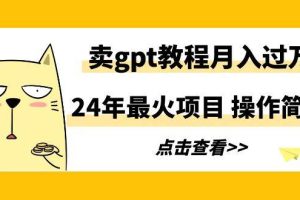 （9180期）24年最火项目，卖gpt教程月入过万，操作简单