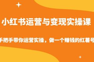 小红书运营与变现实操课-手把手带你运营实操，做一个赚钱的红薯号