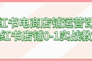 （9249期）小红书电商店铺运营课程，小红书店铺0-1实战教学（60节课）