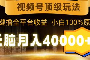 （9281期）视频号顶级玩法，无脑月入40000+，一键撸全平台收益，纯小白也能100%原创