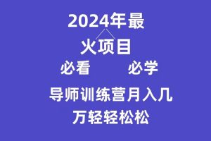 （9301期）导师训练营互联网最牛逼的项目没有之一，新手小白必学，月入3万+轻轻松松