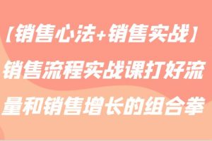 【销售心法+销售实战】销售流程实战课打好流量和销售增长的组合拳