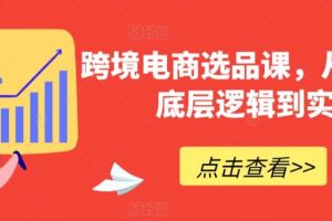 跨境电商选品课，从选品到底层逻辑到实战