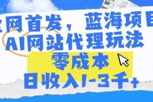 全网首发，蓝海项目，AI网站代理玩法，零成本日收入1-3千+【揭秘】